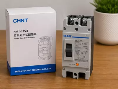  NM1-125H 2P 100A 65/50kA avtomatik o‘chirgich Chakana savdo