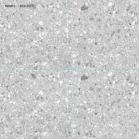 Kерамогранит Terrazzo Light Grey 60x60 см (H04013 modeli)