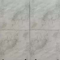 Keramika plitkasi HD 04001.