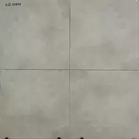 Keramika plitkasi HD 04008.