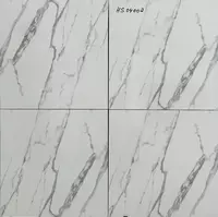  Keramika plitkasi HD 04002. - 