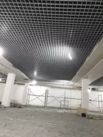 Потолки грильято.Профиль: 30х10 Ячейки: 100х100. - Подвесные потолки