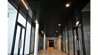 Потолки грильято с профилем 30×10 и ячейками 50×50 мм - 203 374.9 сум