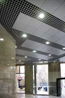 Потолки грильято с профилем 30×10 и ячейками 75×75 мм