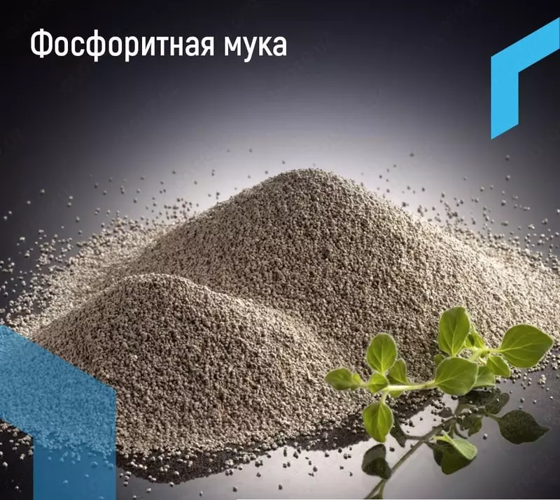 Фосфорит - Фосфоритная мука
