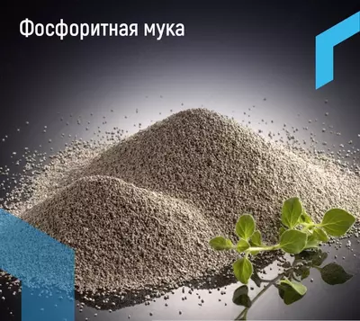 Фосфорит - Фосфоритная мука