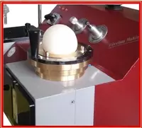 муки РЕОГРАФ (REOGRAPH