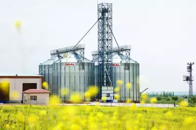 Силосы для зерна. ООО "PIS TRADE"