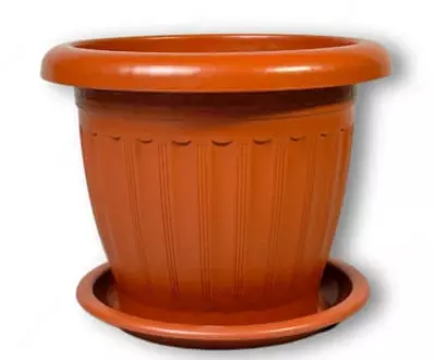 Gul gorshogi dumaloq (2 l