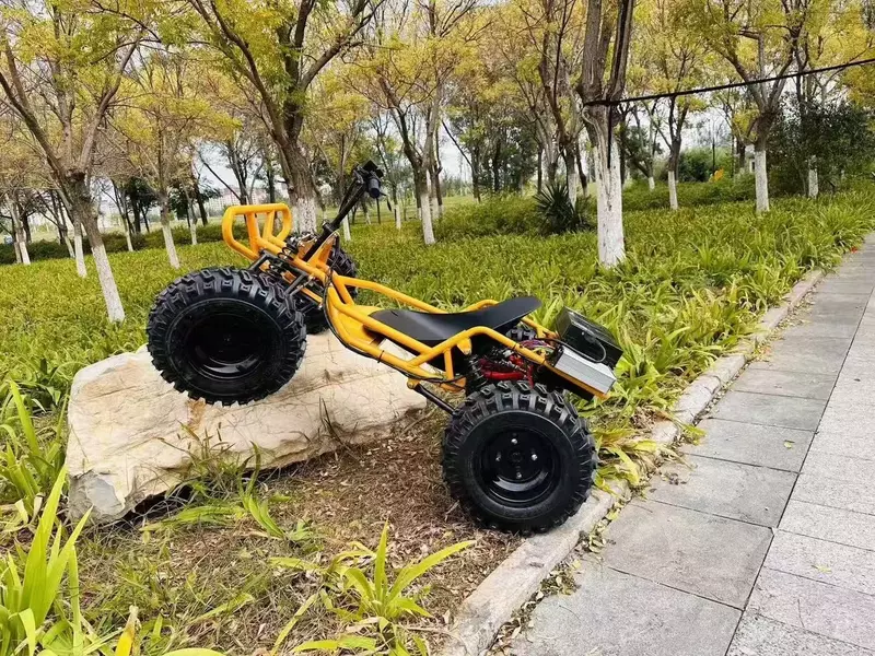 Bolalar va kattalar uchun kartinglar – benzinli va elektrli modellari. Ulgurji savdo