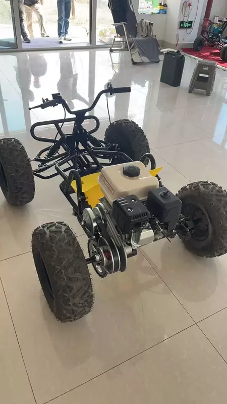 Bolalar va kattalar uchun kartinglar – benzinli va elektrli modellari. Royalty