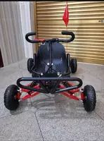 Bolalar va kattalar uchun kartinglar – benzinli va elektrli modellari. - Boshqa turdagi ko'ngilochar mahsulotlar