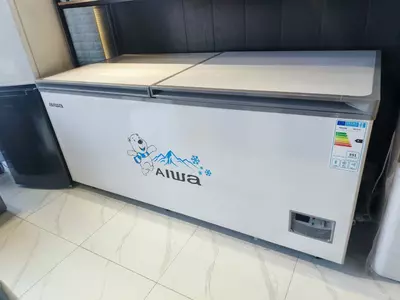 Морозильник BD-918L.