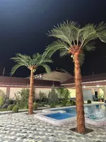 Palma Экзотик – искусственная пальма 3 метра