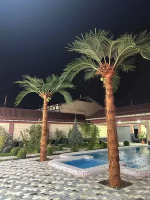 Palma Exotik – sunʼiy palma 3 metr