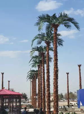 Palma Экзотик – искусственная пальма 9 метра