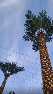 Искусственная пальма 7 м