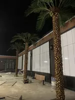 Искусственная пальма 5 м