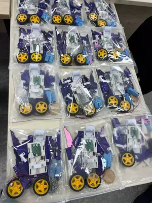 Paxta Teradigan Mini Robot