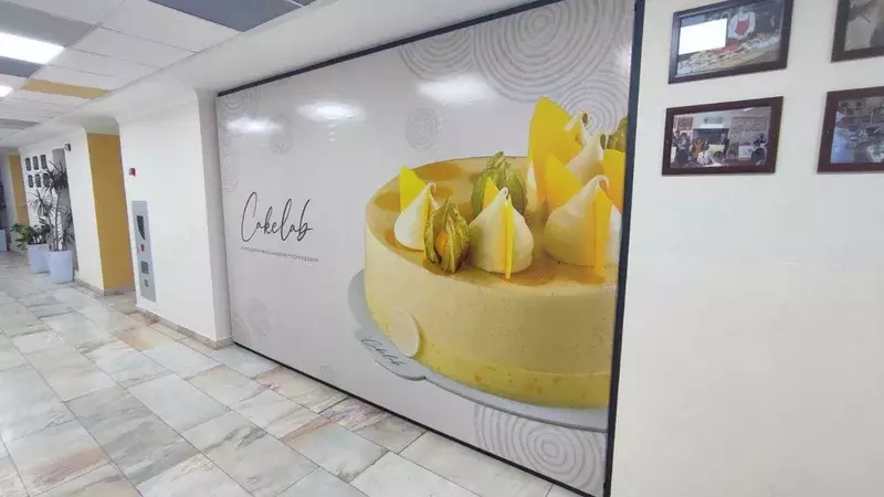  Матовая пленка для окон  Туманка наклейки Mediamax