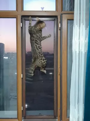 Москитные нано-сетки на окна