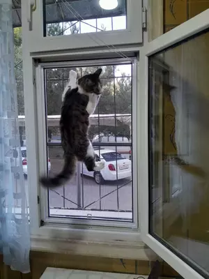 оконные нано-фильтры