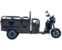 Трёхколёсный электроскутер Drongo FFDR-1200 Pro  Чёрный