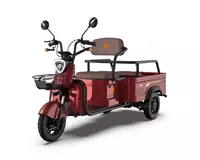 Трёхколёсный электроскутер Yadea F110B  красный