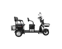 Трёхколёсный электроскутер Tricecle Drongo E032