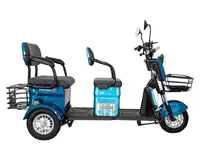  Трёхколёсный электроскутер Tricecle Drongo E032 - 