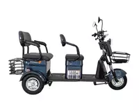   Трёхколёсный электроскутер Tricecle Drongo E032