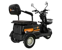 Трёхколёсный электрический скутер Drongo EO30  чёрный