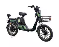 Elektroskuter Cavalo H9