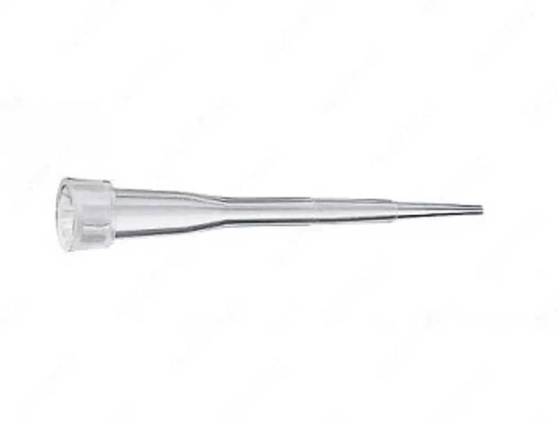 Pipet uchlari