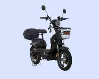 Elektroskuter Drongo R-16 Saca