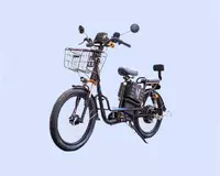 Elektr skuter Cavalo E-Bike 24