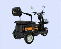 Трёхколёсный электрический скутер Drongo EO30