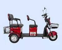 Qora (Maksimal tezlik 30 km/soat