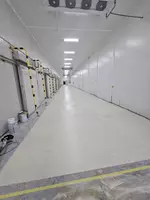 Полиуретановая пропитка (Обеспыливание) - 100 000 сум