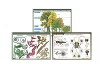 Плакаты по биологии в ассортименте