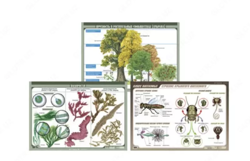 Плакаты по биологии в ассортименте