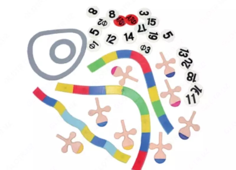 Панель демонстрационная магнитная “Воспроизведение ДНК”