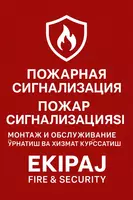 Yong‘inga qarshi signalizatsiya