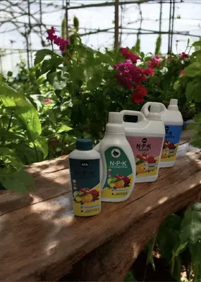 Комплексное удобрение NPK