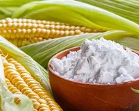 Кукурузный крахмал холодного набухания (КолдСтаб 22)