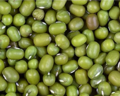 Цена по запросу Крахмал для фунчозы