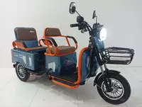 Muravey Tritsikl Skoter