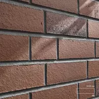 Клинкерная кирпичная плитка ASIAKLINKERUZ