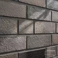 Клинкерная кирпичная плитка - ASIAKLINKERUZ