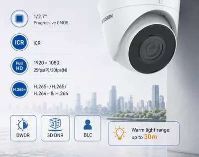 IP камера DS-2CD1327G0-L(2.8mm)(C)(O-STD)